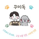 꾸미독 동탄애견미용 이미지