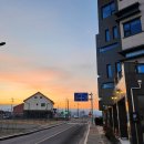 까르디에A 이미지