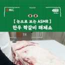 오늘잡은소 이미지