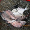 이무기낚시터 이미지