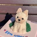 와들스 케이크 이미지