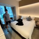 와이호텔(Y.HOTEL) 이미지