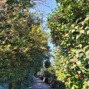 신흥2리 마을회관 이미지