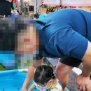 아람반점 이미지