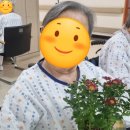 경기도립노인전문시흥병원 이미지