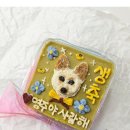 남다른 금댕이 이미지