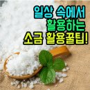 👩‍🍳 일상 속에서 활용하는 소금 활용꿀팁! 이미지