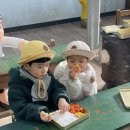 울산 장생포 고래문화마을 주차 입장료 주말 방문 후기
