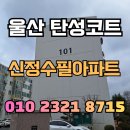 씨유 울산신정동산로점 | 울산 탄성코트 신정수필아파트 46년 구축 아파트 베란다 신축 퀄리티 가능