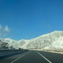 감나무목장 이미지