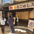 메시네 | 히로시마여행 이쓰쿠시마 신사 아나고메시 맛집 마메타누키 붕장어덮밥 후기