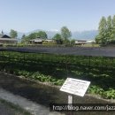 대왕농장1 이미지