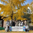 성주쉴만한물가 이미지