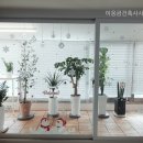 이응금건축사사무소