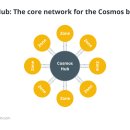 초보자 가이드 코스모스란: &#39;블록체인 인터넷&#39;에 대한 이미지
