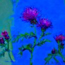 공립인제내설악미술관 | '2025 내설악예술인전' 미술전시회 전시작품 사진모음26 공립인제내설악미술관(황영희 作 - 엉겅퀴)