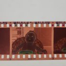 원칼라사진관 | 동대문 중앙칼라 필름 현상(?) 후기