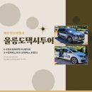 예주항공여행사 이미지
