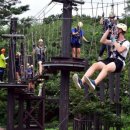 불암산더불어숲 이미지