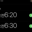 청년피자경북울진점