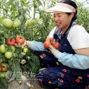 강금자농장 이미지