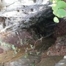 묵은저수지 이미지