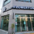 광주 금호동 꽃집 플라워윤 반려식물 후기