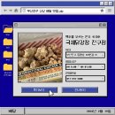 강정 | [부산/부산진구] 국제닭강정 진구점 내돈내산 스윗치즈닭강정 후기!