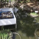 거북이동산 이미지