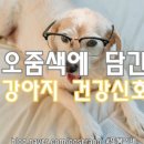 또,봄이네 이미지