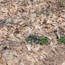 신안 빛고을 마트 앞 | 별내 불암산 나들이 코스! 등산부터 군마트 쇼핑, 배스킨라빈스 신메뉴까지