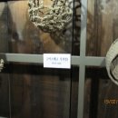 소머거리 이미지