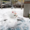 대구서동초등학교 이미지