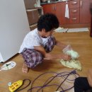 태촌마을 이미지