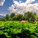 황새울5길 이미지