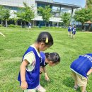 용인 신일 태권도장 이미지