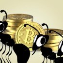 비트코인 '개미'들, 하락장에 1만 BTC 매집… 2022년 이후 최대 규모 이미지