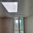 미라주포레스트