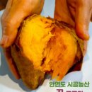 안면도시골농산 이미지