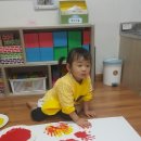 가락가락 이미지