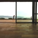 자연을 닮은 집 이미지