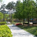 화명수목원 Daum카페