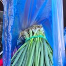 산방마을회관 이미지