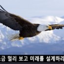 보라 행정사 이미지