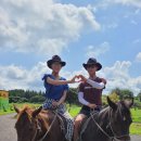 제주조랑말타운 이미지