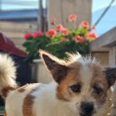 강경경로당 이미지