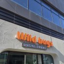 겨울 숲 탐험대 캠프(1~6) | [인천/월미도] 인천 실내 곤충체험 인천 월미도 아이와가볼만한곳 와일드벅스 곤충탐험대 찐 후기!!