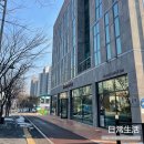 210130 | [판교/카페] 더 노벰버 라운지 후기_210130