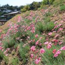 상그린로 이미지