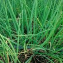 인경농장 이미지